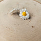 White Daisy Stud Earrings