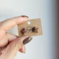 Brown Maple Leaf Stud Earrings
