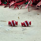 Red Candy Cane Studs