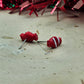 Red Candy Cane Studs